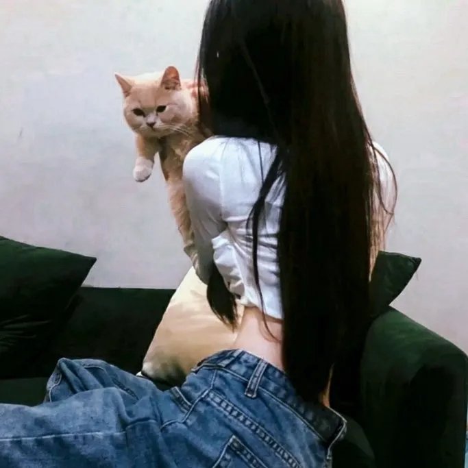 人情纸风船